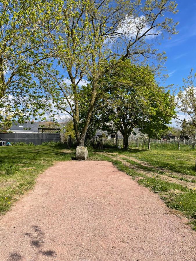 Gite Au Gre De La Loire Piscine Et Spa Saint-Mathurin  Eksteriør bilde